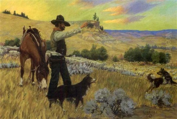 Wyoming Sheepherder - view 1