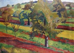 Prairie Vallonnee Et Ombragee