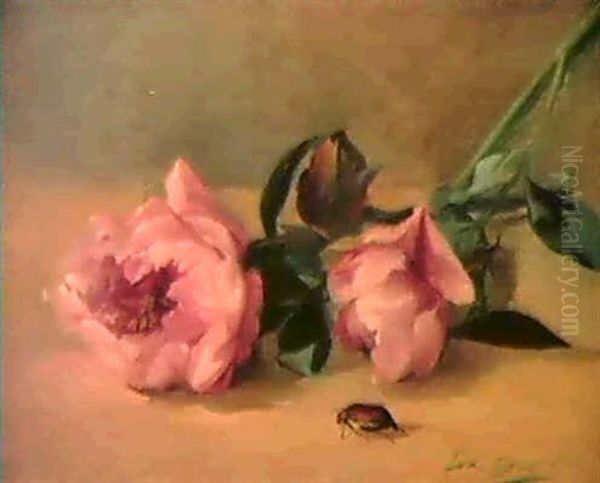 Les Pivoines Et Le Hanneton - view 1