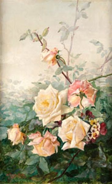 Flores - view 1