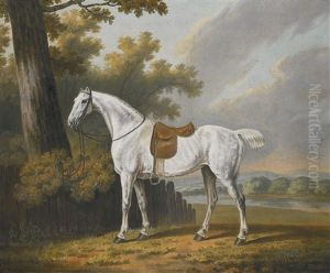 A Saddled Grey Hunter, The Property Of Nicholas Smythe Of Condover Hall, Shropshire, Tethered To A Post In A Wooded River Landscape by Thomas Gooch