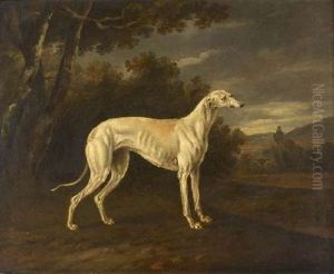 Study Of The Greyhound "waggoner"