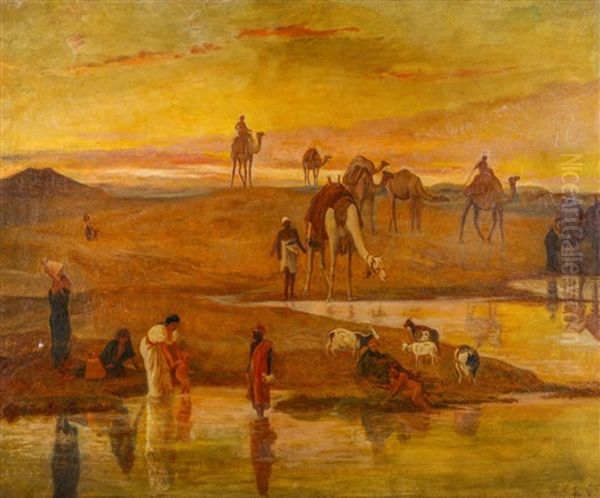 Morning At The Oasis - view 1