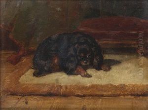 A Cavalier King Charles Spaniel
