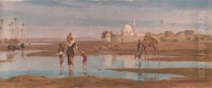 The Oasis