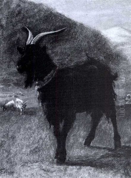 A Goat In A Mountainous Landscape - view 1