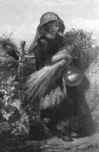 The Little Gleaner The Little Gleaner