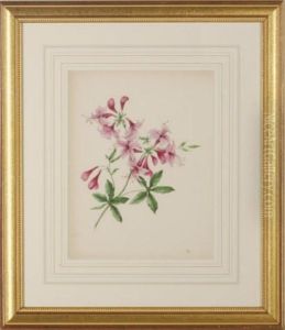[floral Studies]: Eight Plates by William Badger