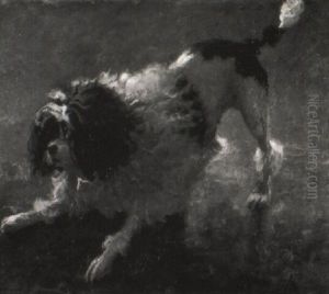 A Playful Parti-coloured Poodle A Playful Parti-coloured Poodle