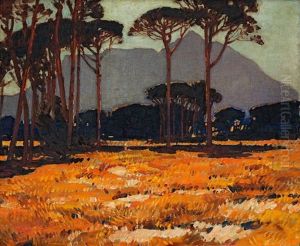 View Of Devil's Peak by Robert Gwelo Goodman