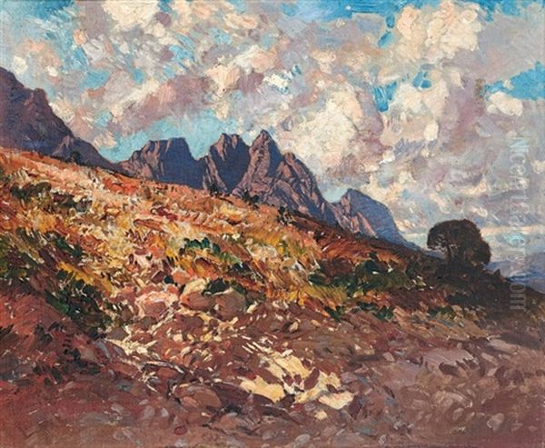 Jonkershoek, Cape - view 1