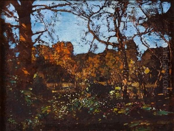 Autumn, Newlands House, Cape Town - view 1