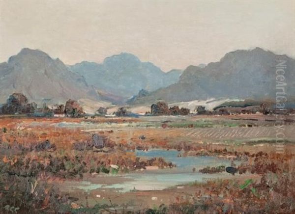 Farming Landscape - view 1