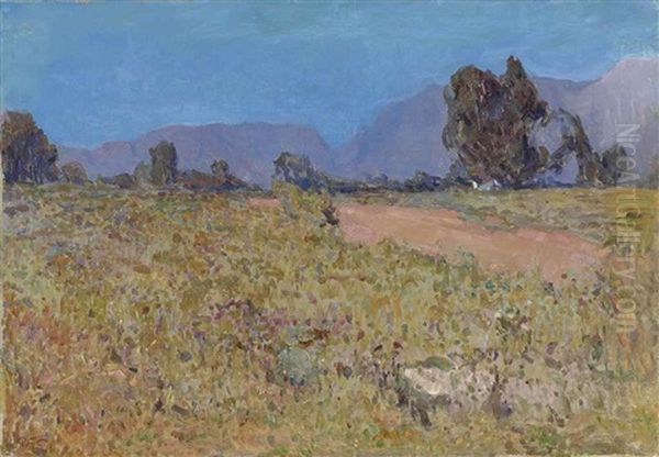 A Cape Landscape, South Africa - view 1