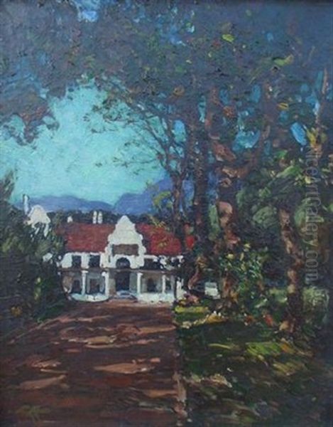 Treed Avenue To Cape Dutch Homestead - view 1