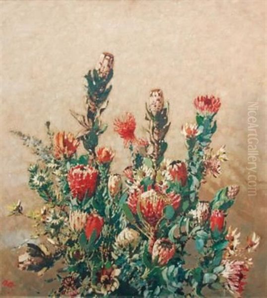 Proteas - view 1