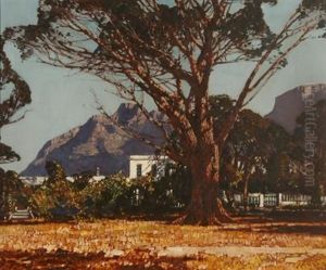 Cape Homestead by Robert Gwelo Goodman
