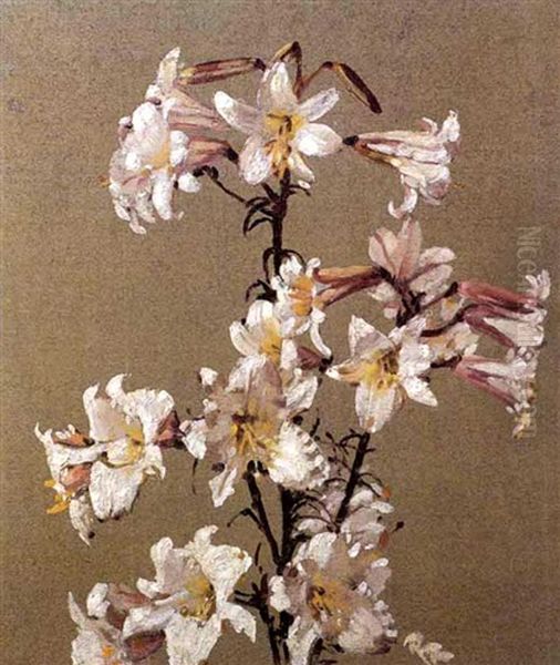 Saint Joseph Lilies - view 1