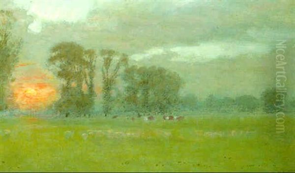 Eton Meadows - view 1