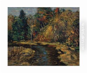 Forest Landscape With Brook