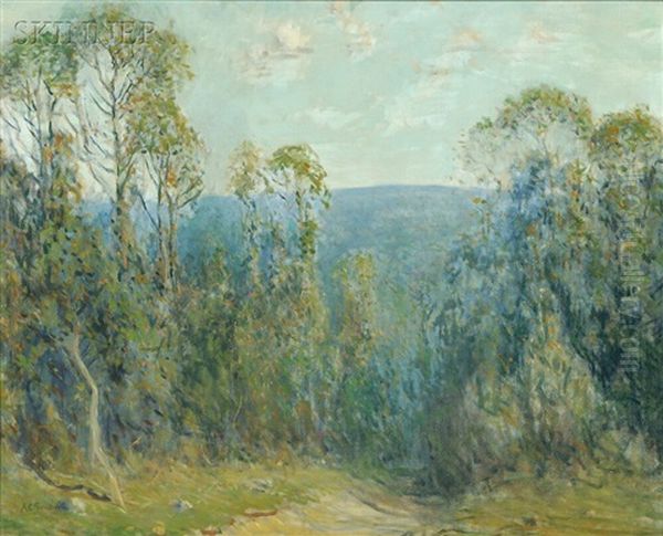 The Disappearing Path - view 1