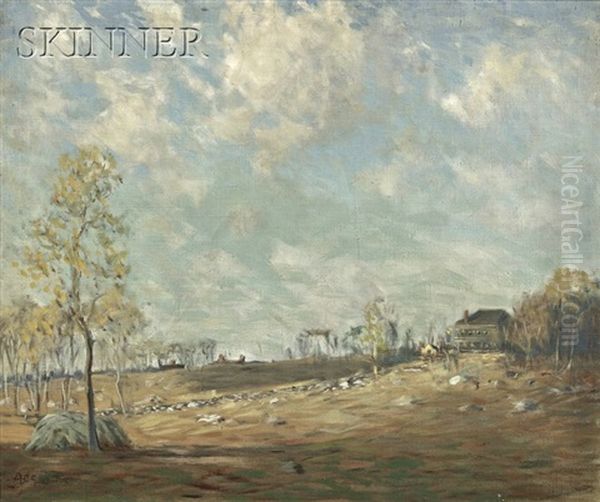 Summer Landscape - view 1