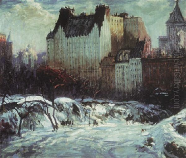 Central Park In Winter - view 1