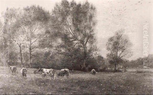 View Near Godalming - view 1