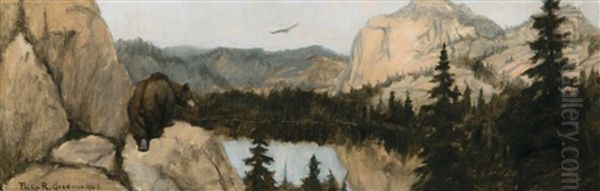 Bear At Mountain Lake - view 1