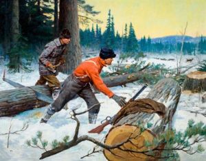 Loggers At Work