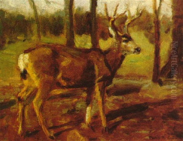 Whitetail Deer - view 1