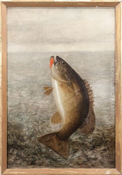 Small Mouth Bass - view 1