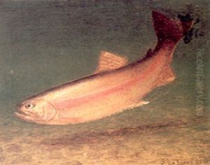 Rainbow Trout
