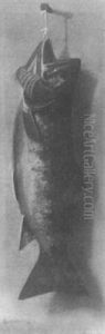 Rainbow Trout