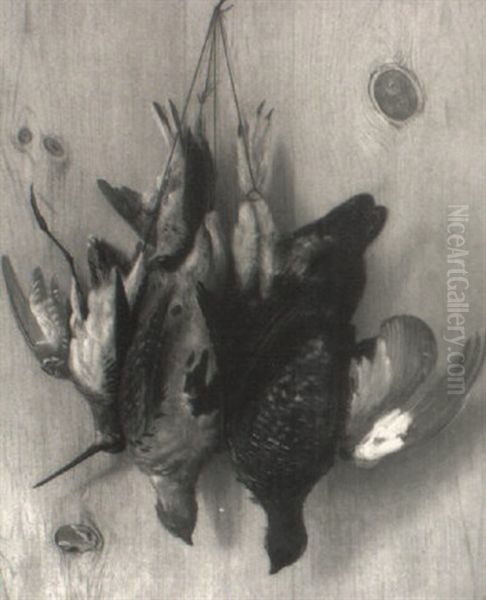 Trompe-l'oeil Nature Morte- Woodcocks And Snipe - view 1