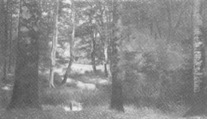 Parklandschaft In Glucksburg by Berend Goos