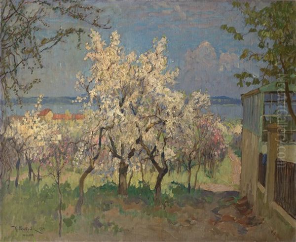 In The Garden. Town Of Werder - view 1
