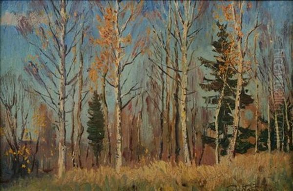 Field At Forest's Edge - view 1