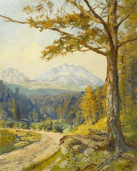 Berglandschaft Mit Weg - view 1