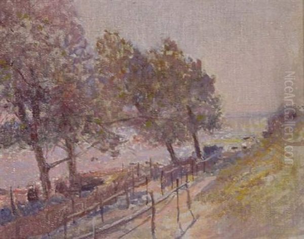 Von Baumen Umsaumte Uferpartie - view 1