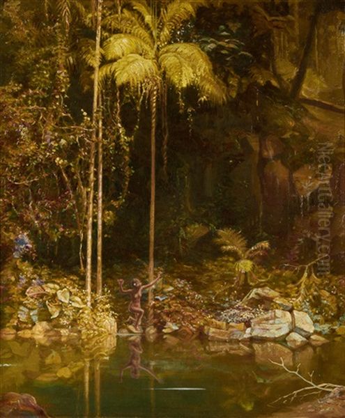 The Forest Mirror, Queensland - view 1
