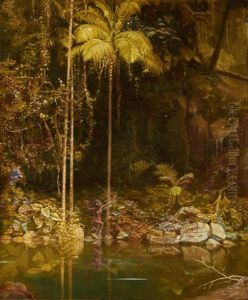 The Forest Mirror, Queensland