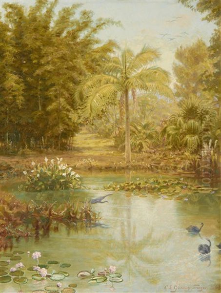 Black Swans In A Tropical Lake, Australia - view 1