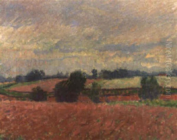 Landscape - view 1