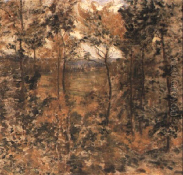 Pasture Through Woodland - view 1
