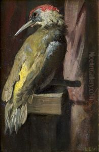 Grunspecht by Marie Goerlich
