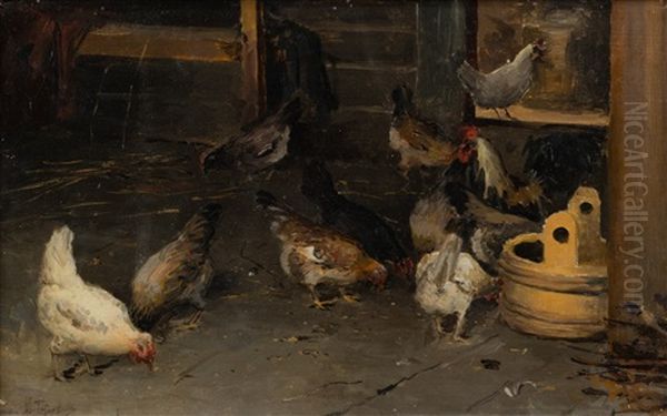 In The Henhouse - view 1