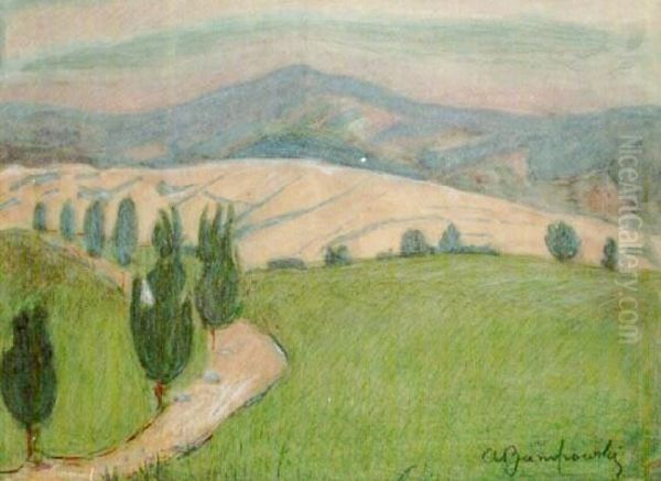Aleja Topolowa - view 1