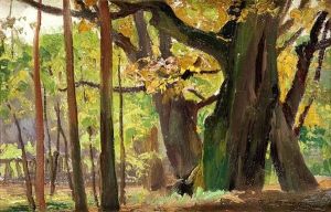 Sunny Forest