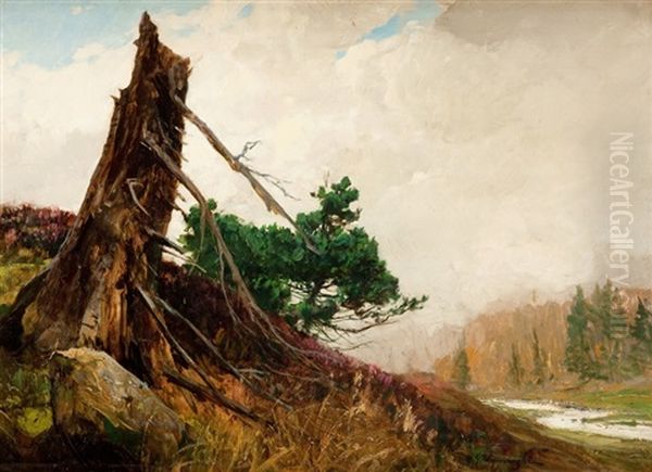 Trees Broken By Wind - view 1